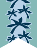 Coyopa Flag for the Coyopa tribe