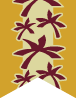 Hunahpu Flag for the Hunahpu tribe