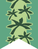 Huyopa Flag for the Huyopa tribe