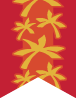 Brawn Flag for the Brawn tribe