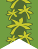 Ikabula Flag for the Ikabula tribe